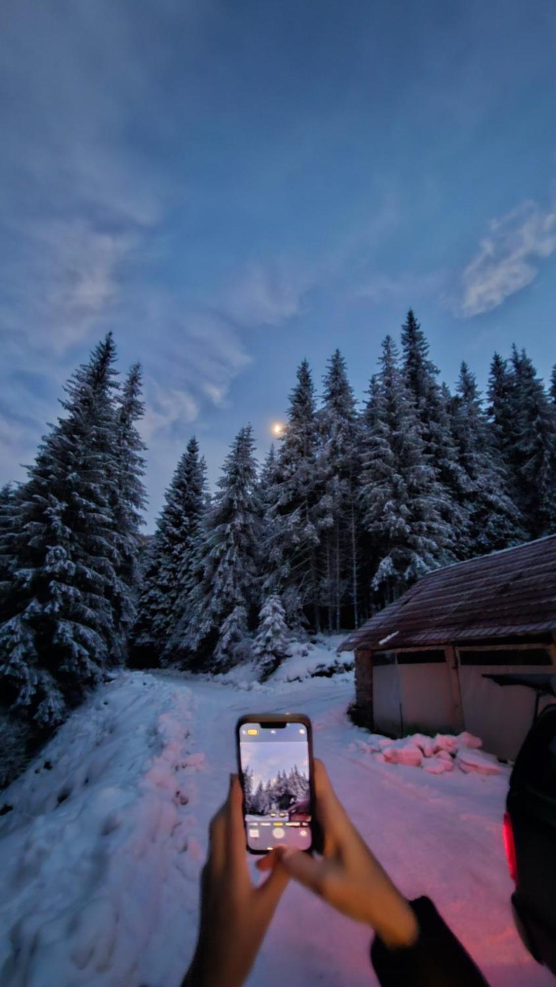 Cabana Patru Brazi Stana de Vale Bagian luar foto
